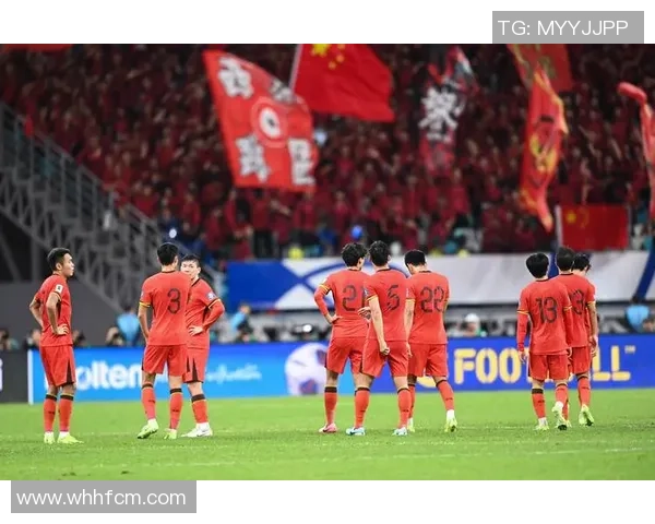 中国人亲历足球明星的魅力与激情之旅分享